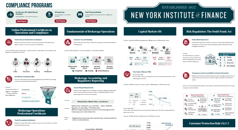 Risk Regulation: The Dodd-Frank Act