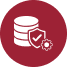 Enterprise Data Governance Program icon